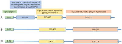 Roles of PLODs in Collagen Synthesis and Cancer Progression